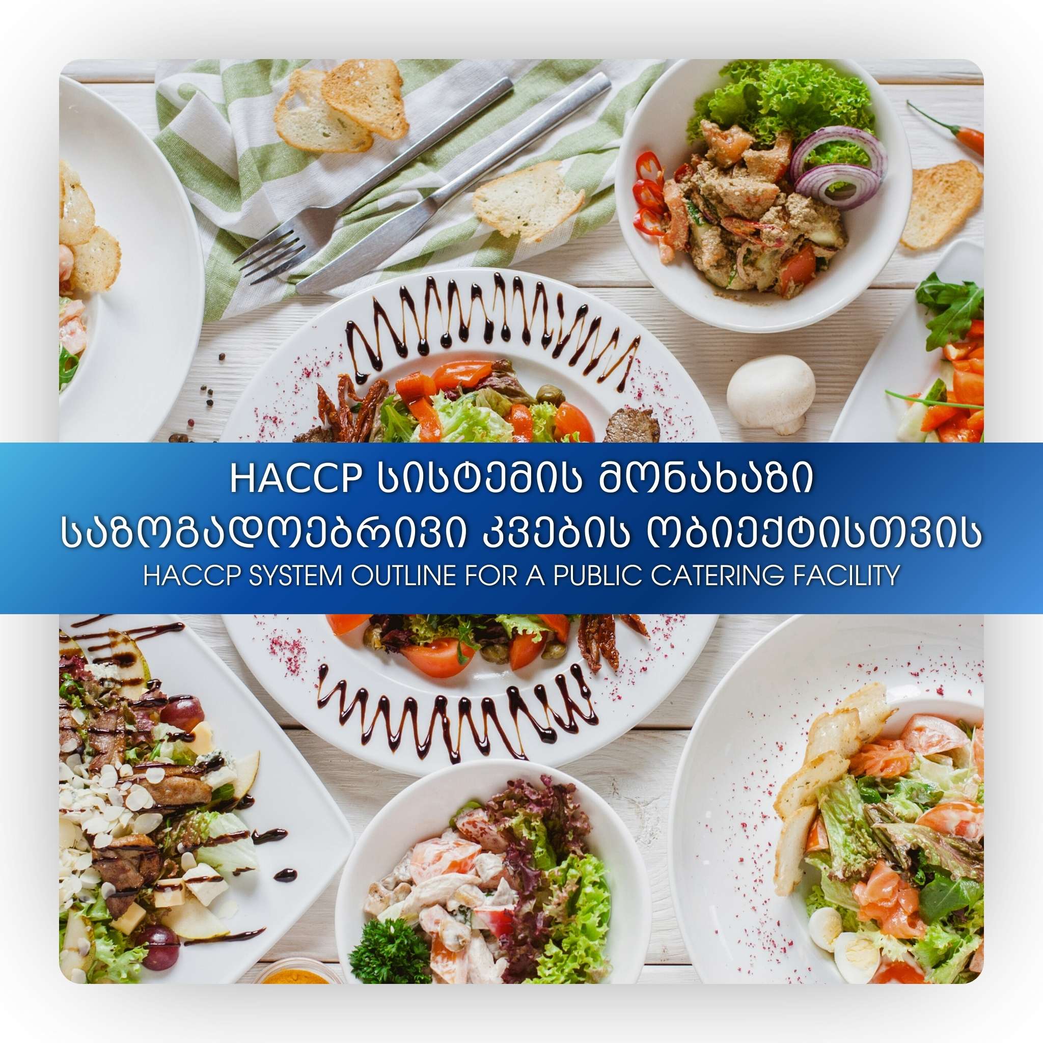 HACCP სისტემის მონახაზი საზოგადოებრივი კვების ობიექტისთვის