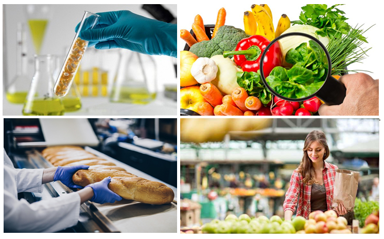 Developing a HACCP system and ensuring compliance with legal requirements